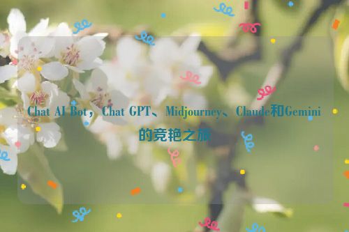 Chat AI Bot，Chat GPT、Midjourney、Claude和Gemini的竞艳之旅